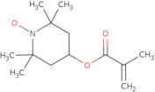 4-Methacryloyloxy-2,2,6,6-tetramethylpiperidine 1-oxyl free radical