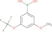 3-Methoxy-5-(trifluoroMethoxy)phenylboronic acid