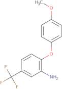 2-(4-Methoxyphenoxy)-5-(Trifluoromethyl)-Benzenamine