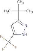 5-(2-Methyl-2-Propanyl)-3-(Trifluoromethyl)-1H-Pyrazole