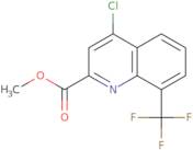 Methyl 4-chloro-8-(trifluoroMethyl)quinoline-2-carboxylate