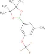 3-Methyl-5-(trifluoroMethoxy)phenylboronic acid, pinacol ester