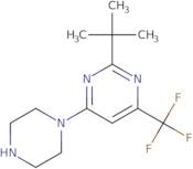 2-(2-Methyl-2-Propanyl)-4-(1-Piperazinyl)-6-(Trifluoromethyl)Pyrimidine