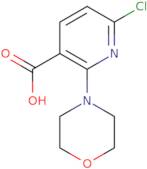 6-Chloro-2-morpholinonicotinic acid