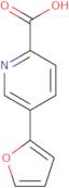 5-(2-Furyl)pyridine-2-carboxylic acid