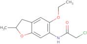 2-Chloro-N-(5-ethoxy-2-methyl-2,3-dihydro-1-benzofuran-6-yl)acetamide