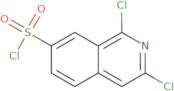 1,3-Dichloroisoquinoline-7-sulfonyl chloride
