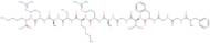 Nociceptin (1-13) amide trifluoroacetate salt