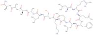 Neuronostatin-13 (human, canine, porcine) trifluoroacetate salt