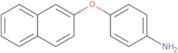 4-(2-Naphthyloxy)aniline