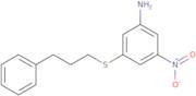 3-Nitro-5-[(3-phenylpropyl)thio]aniline