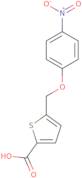 5-[(4-Nitrophenoxy)methyl]thiophene-2-carboxylic acid