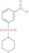 4-[(3-Nitrophenyl)sulfonyl]morpholine