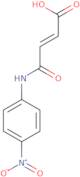 (2E)-4-[(4-Nitrophenyl)amino]-4-oxobut-2-enoic acid