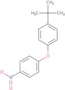 4-Nitro-4'-t-butyl diphenylether