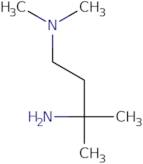 N1,N1,3-trimethylbutane-1,3-diamine