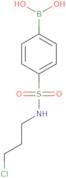 N-(3-Chloropropyl) 4-boronobenzenesulfonamide