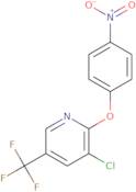 2-(4-Nitrophenoxy)-3-chloro-5-trifluoromethyl pyridine