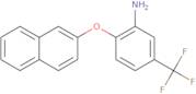 2-(2-Naphthyloxy)-5-(trifluoromethyl)phenylamine