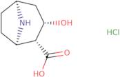 Nor ecgonine hydrochloride