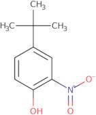 2-Nitro-4-tert-butylphenol