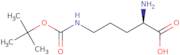 Nd-Boc-D-ornithine