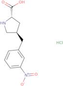 (R)-γ-(3-Nitrobenzyl)-L-proline·HCl