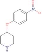 4-(4-Nitro-Phenoxy)-Piperidine