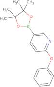 2-Phenoxy-5-(4,4,5,5-tetramethyl-1,3,2-dioxaborolan-2-yl)pyridine