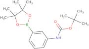 3-(tert-Butoxycarbonylamino)phenyl-boronic acid pinacol ester
