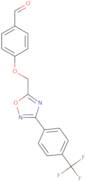 4-(5-Methyl-[1,2,4]triazolo[1,5- A ]pyrimidin-7-ylamino)-benzoic acid