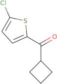 (5-Chlorothiophen-2-yl)(cyclobutyl)methanone