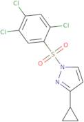 3-Cyclopropyl-1-(2,4,5-trichlorobenzenesulfonyl)-1H-pyrazole