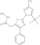 2-{2-[3-Methyl-5-(trifluoromethyl)-1H-pyrazol-1-yl]-4-phenyl-1,3-thiazol-5-yl}acetohydrazide