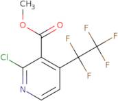 Methyl 2-chloro-4-(pentafluoroethyl)nicotinate