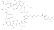 2-(O-(1-oxo-4-((4-(3-(trifluoromethyl)-3H-diazirin-3-yl)benzoyl)amino)butyl)-D-serine)-Cyclosporin…