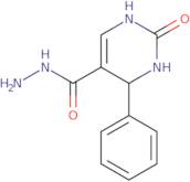 2-Oxo-4-phenyl-1,2,3,4-tetrahydropyrimidine-5-carbohydrazide