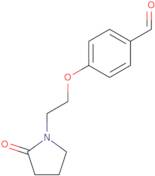 4-[2-(2-Oxopyrrolidin-1-yl)ethoxy]benzaldehyde