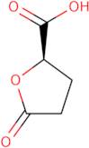 (R)-(-)-5-Oxotetrahydrofuran-2-carboxylic acid