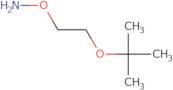 O-(2-tert-butoxyethyl)hydroxylaMine