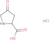 4-Oxopyrrolidine-2-carboxylic acid hydrochloride