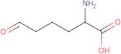 6-Oxo DL-norleucine, formate salt