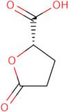 (S)-5-Oxo-2-tetrahydrofurancarboxylic acid