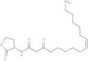 N-3-Oxo-hexadec-11(Z)-enoyl-L-homoserine lactone