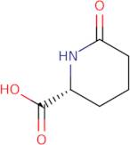 D-6-Oxopipecolinic acid