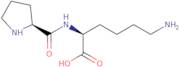 H-Pro-Lys-OH acetate salt