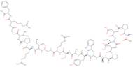 Prolactin-Releasing Peptide (1-31) (human)