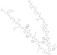 Preptin (rat) trifluoroacetate salt