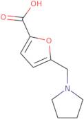 5-(Pyrrolidin-1-ylmethyl)-2-furoic acid