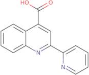 2-Pyridin-2-ylquinoline-4-carboxylic acid